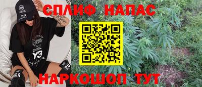молекула духа Будённовск