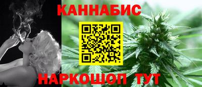 молекула духа Будённовск