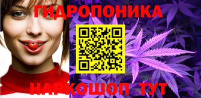 молекула духа Будённовск