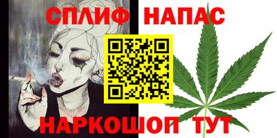 молекула духа Будённовск